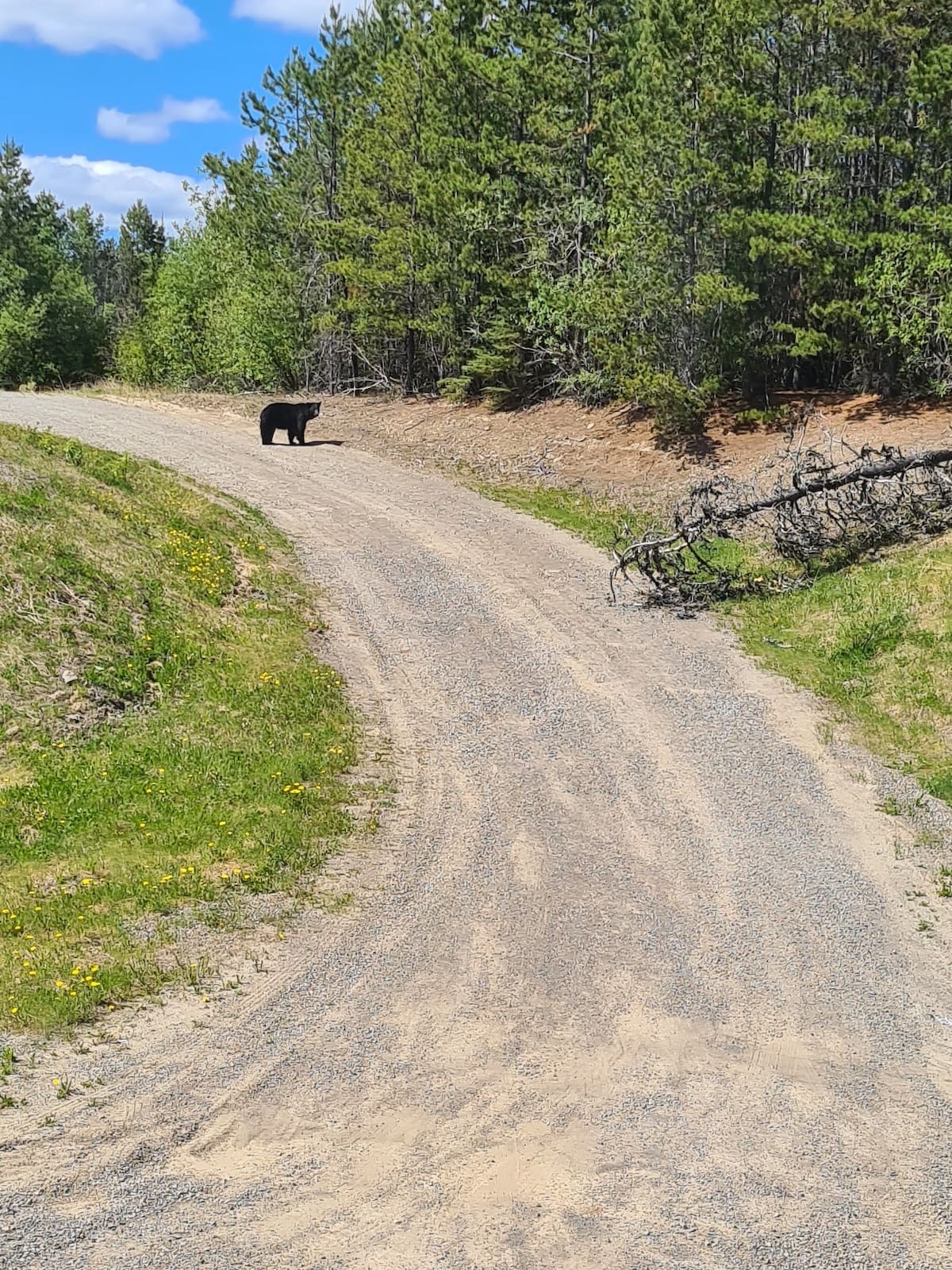 20230601_141410 - Kopie_compr.jpg